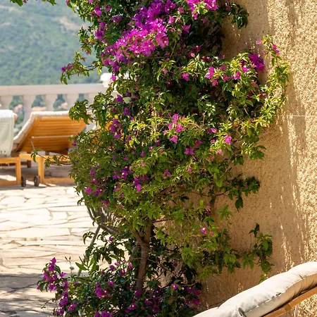 Villa Panorama Azur Les Issambres